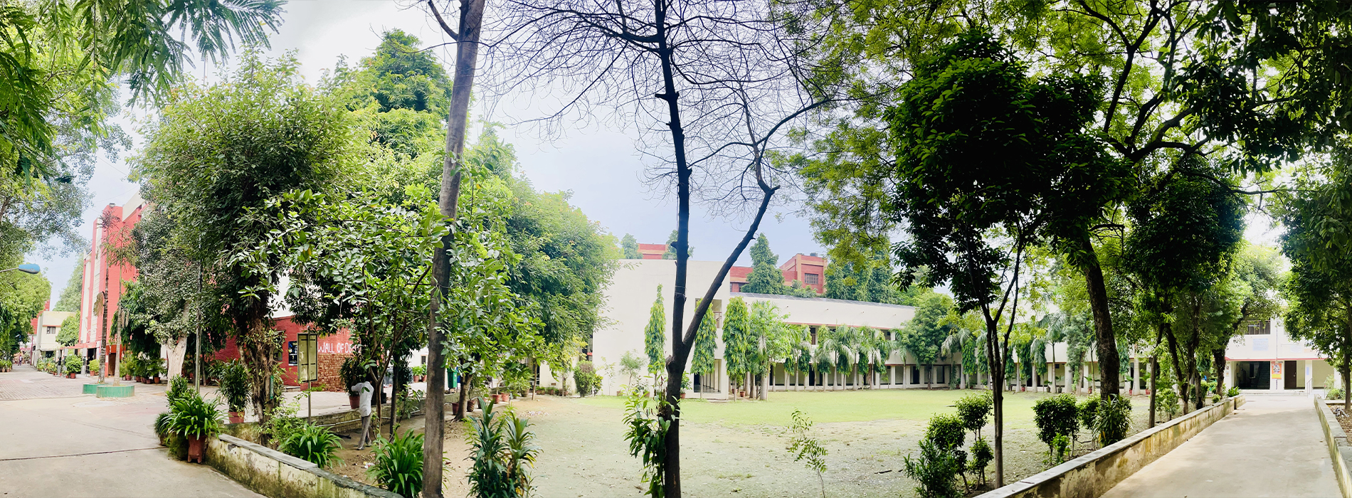 banner